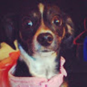 Meet your Posher, Miss